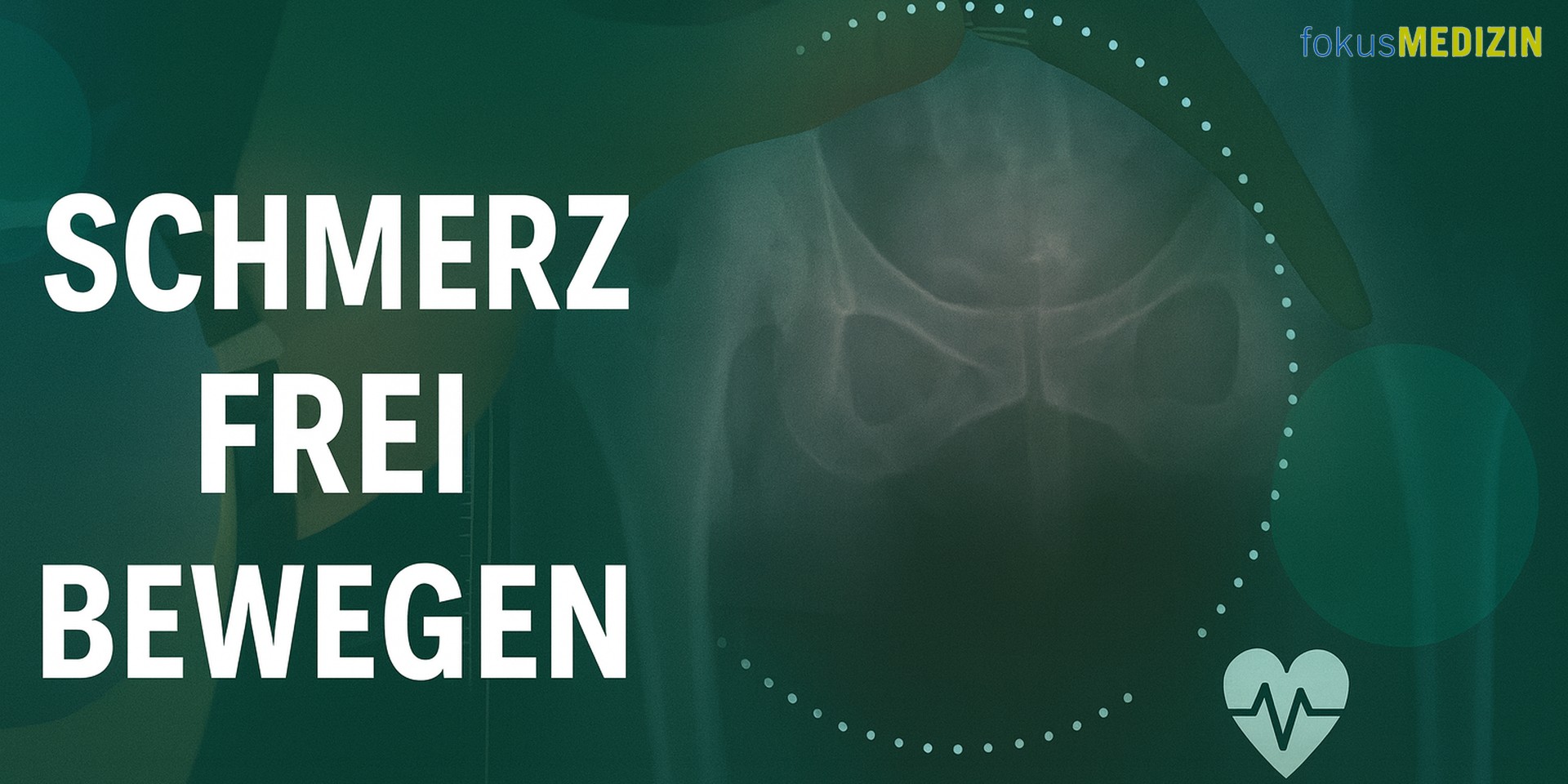 Knorpel, Meniskus, Kreuzband