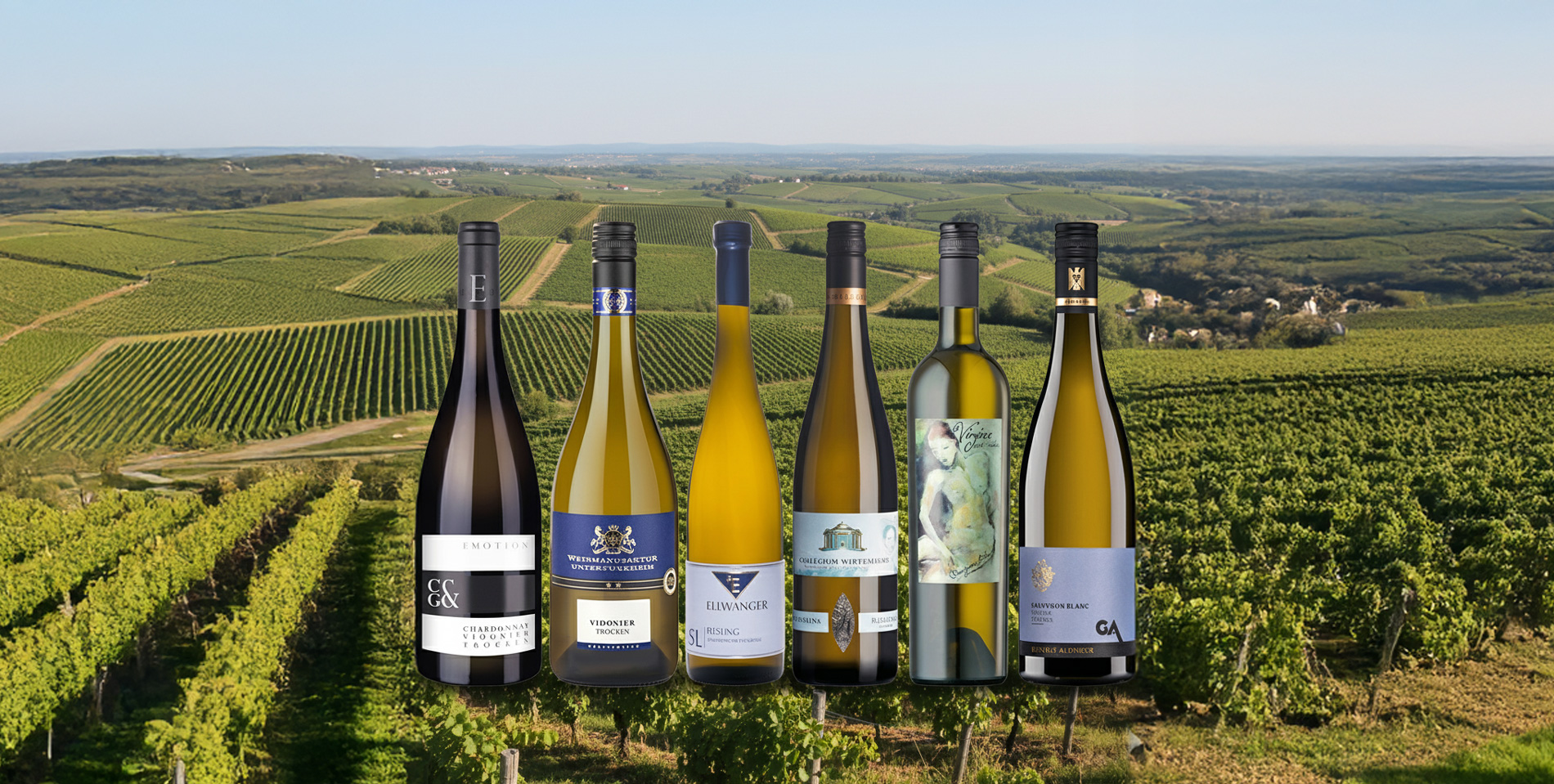 Weinmeisterschaften 2022