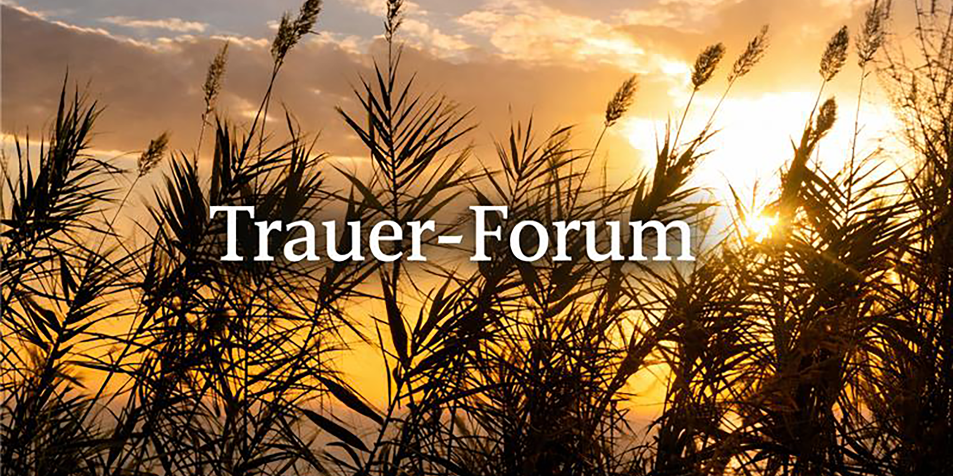 Trauer-Forum